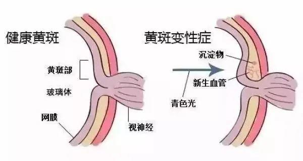 补锌副作用