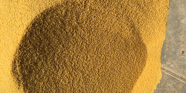 湖北小米杂粮,小米