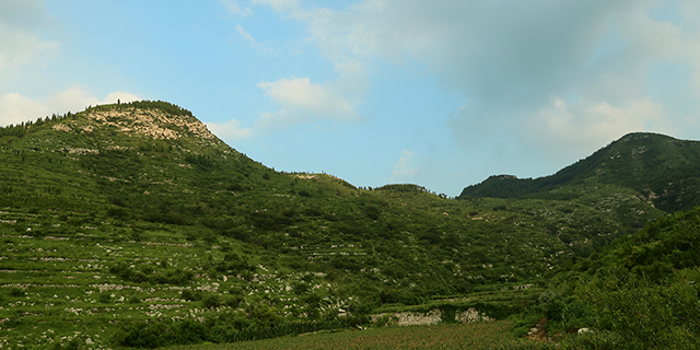 湖北小米杂粮,小米