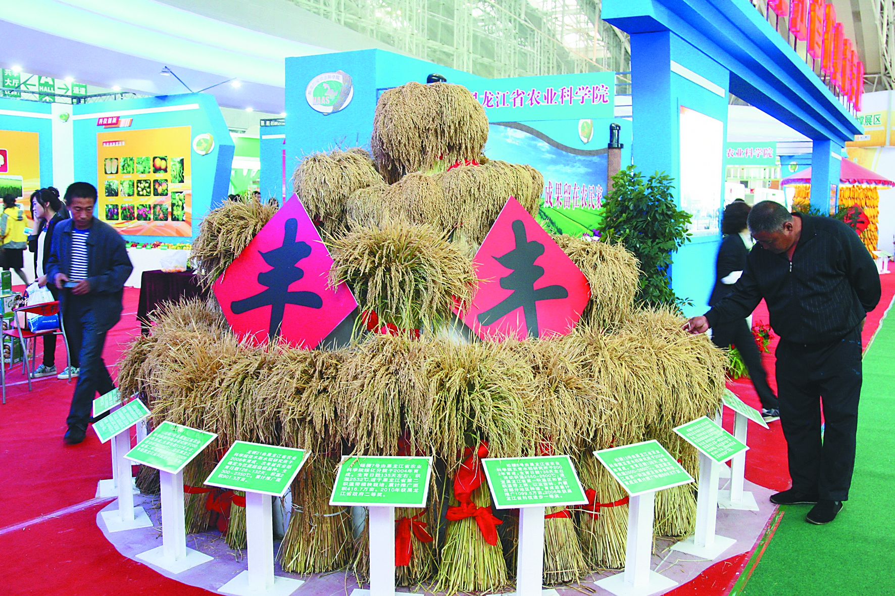 方正大米富硒龙稻18