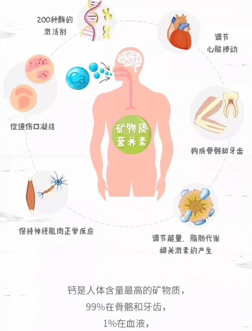 补钙的药