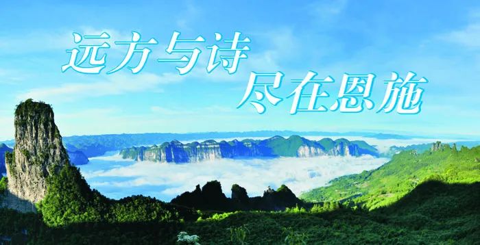 湖北省恩施市富硒大米