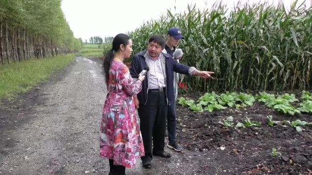 黑龙江海伦富硒大米节