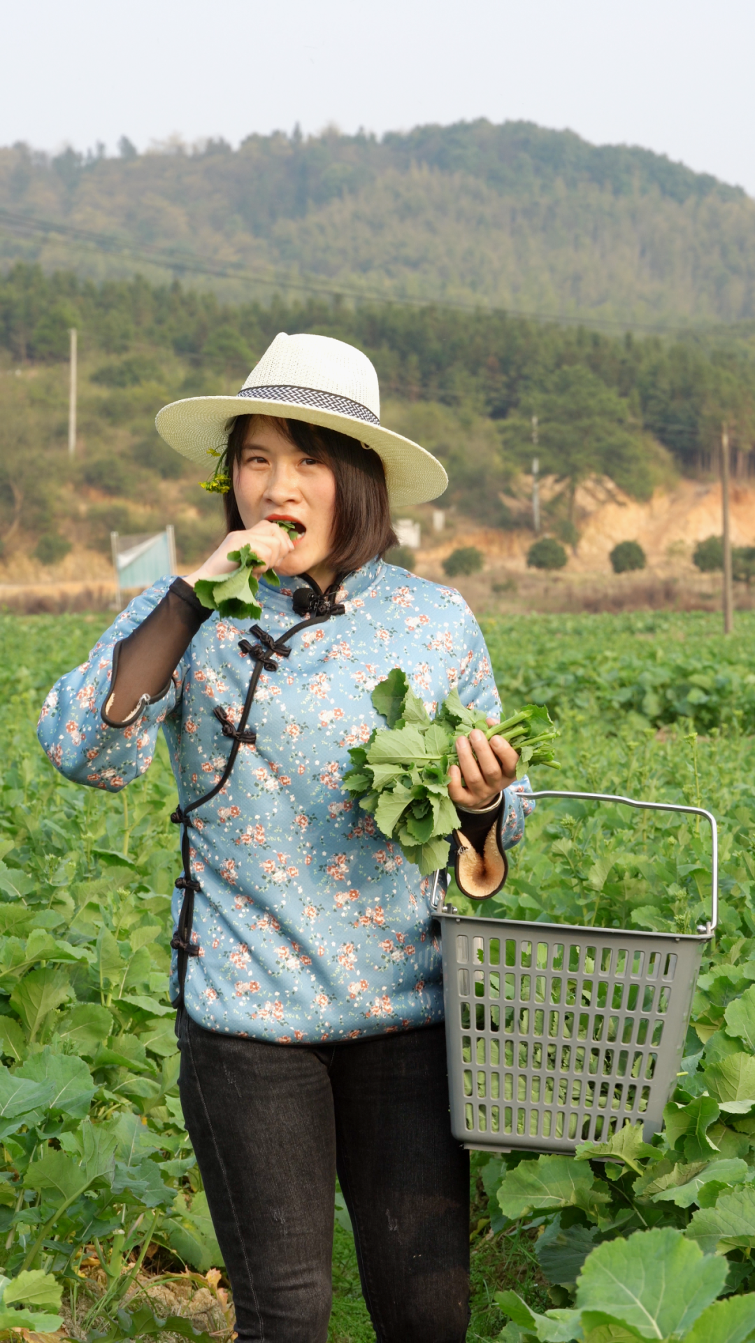 种一次收两次富硒大米