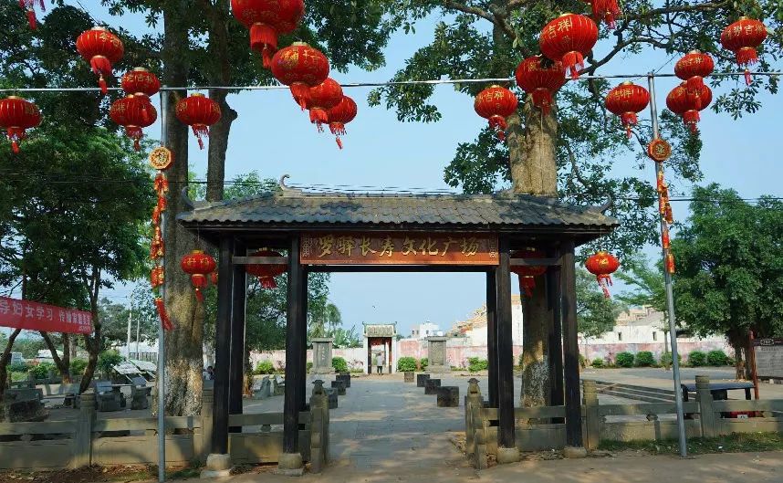 澄迈桥头富硒地瓜地址