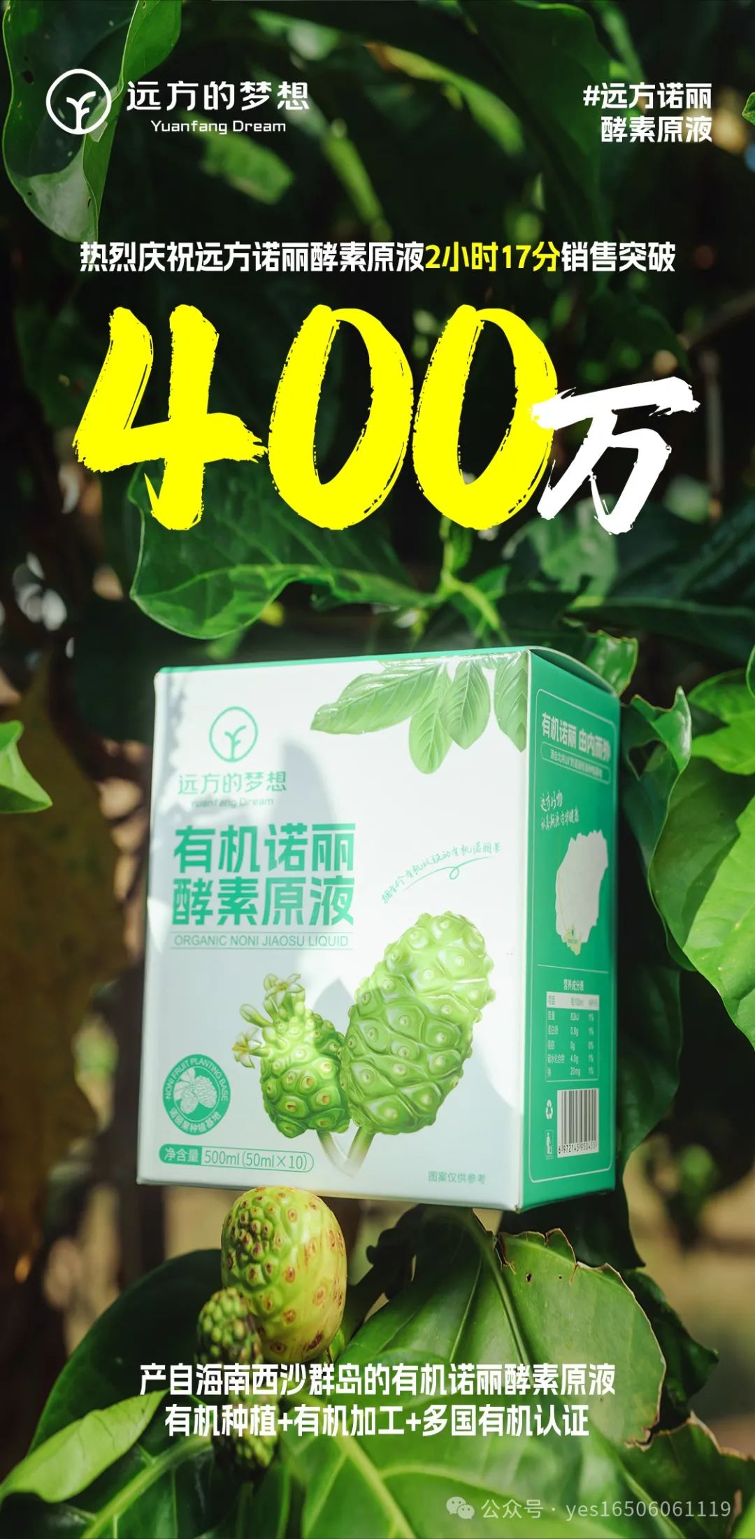 富硒地瓜种植技术视频