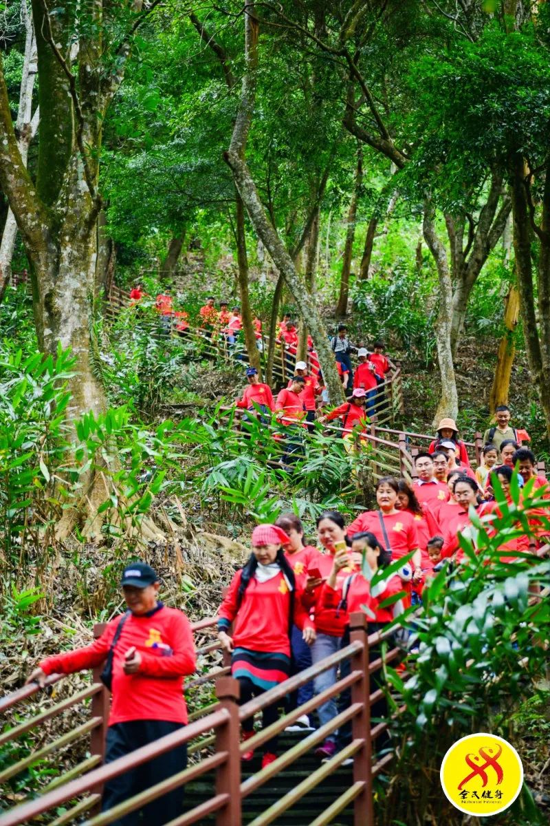 儋州富硒地瓜种植时间