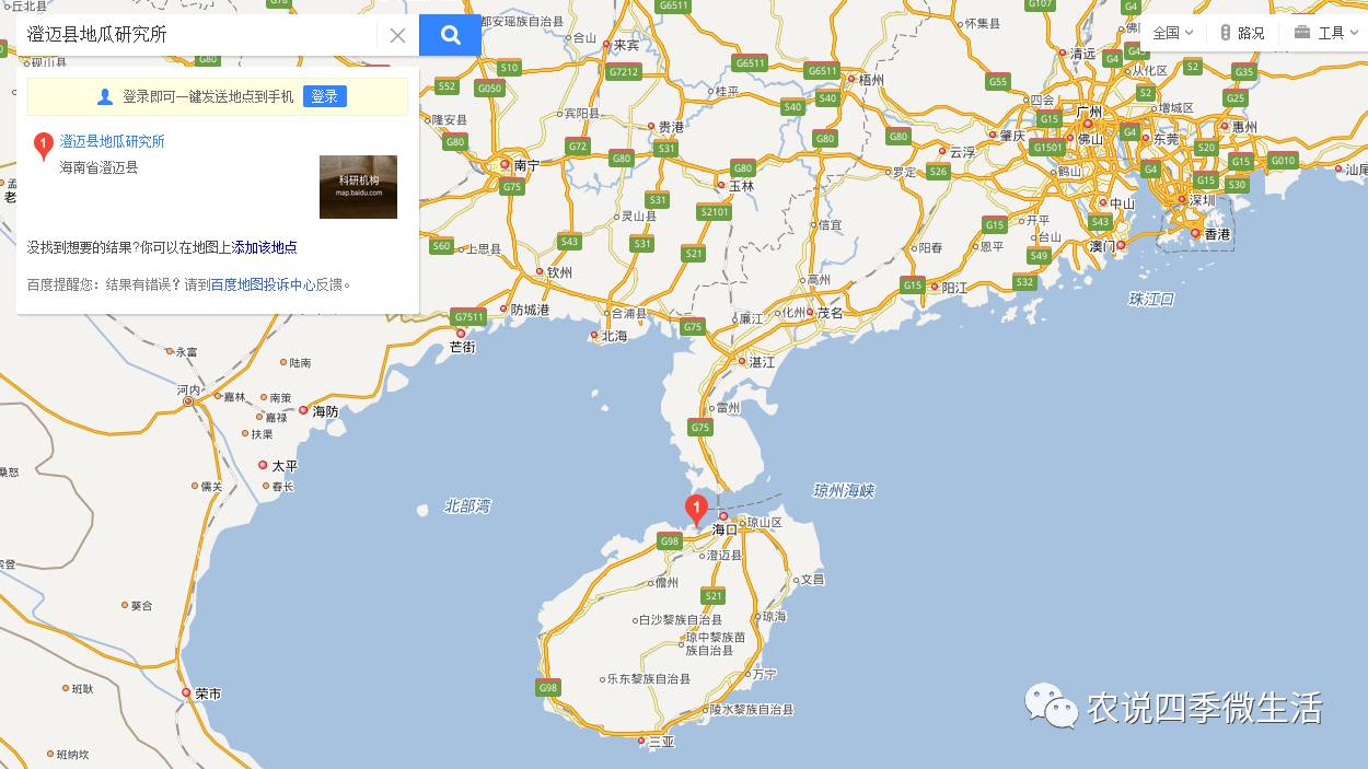 海南澄迈富硒地瓜价格