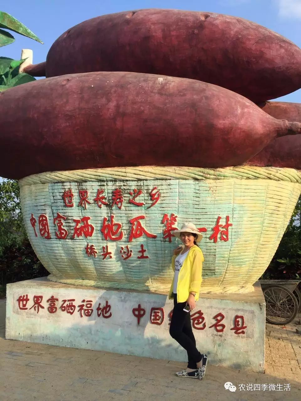 海南澄迈富硒地瓜价格