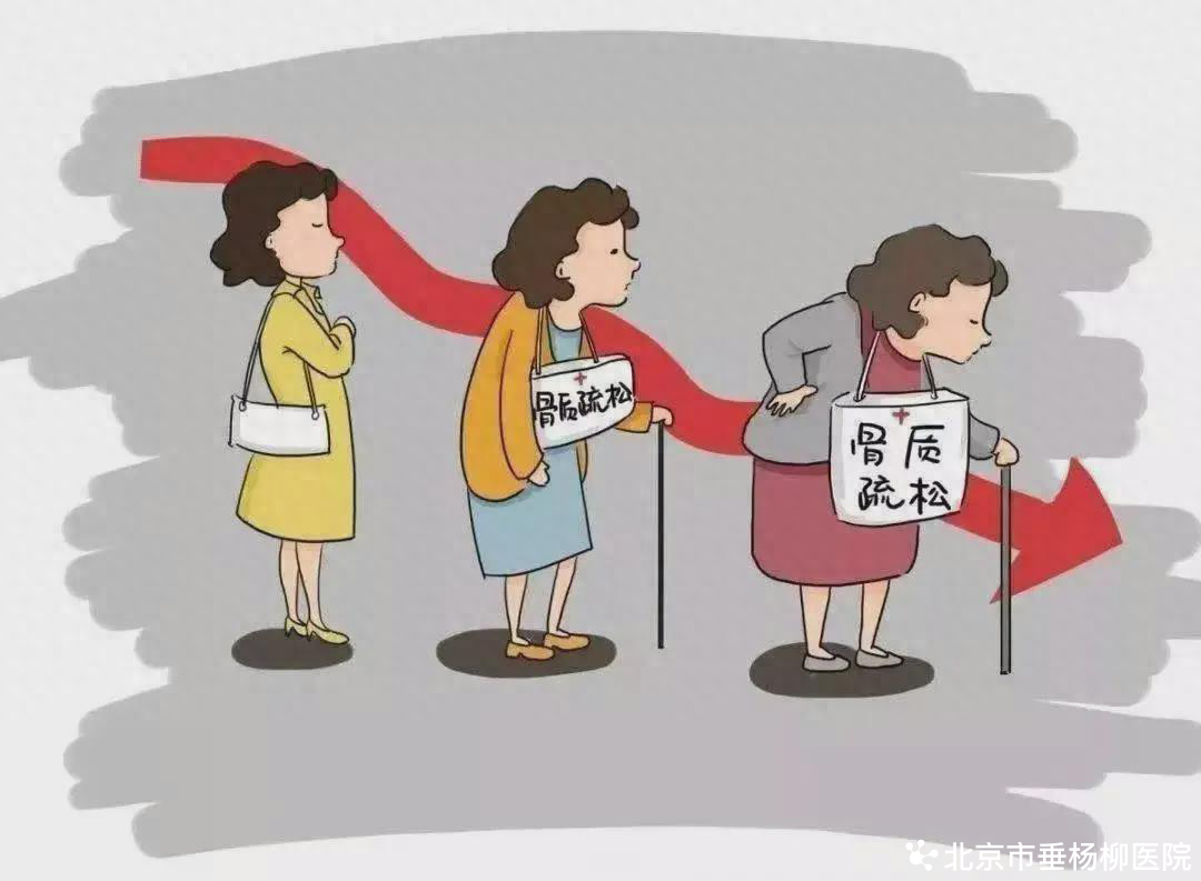 老年人怎么补钙