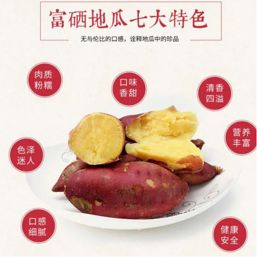 富硒地瓜是是什么品种