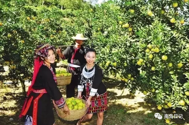 澄迈桥头富硒地瓜粉吗