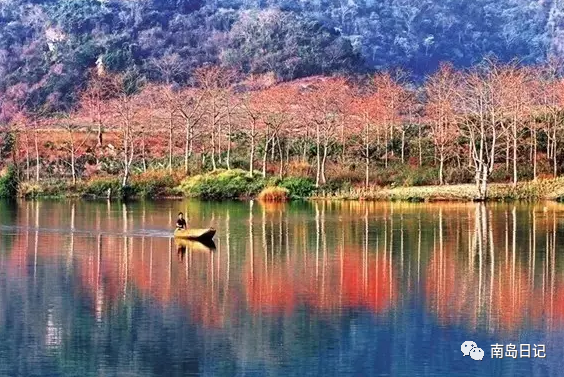 澄迈桥头富硒地瓜粉吗