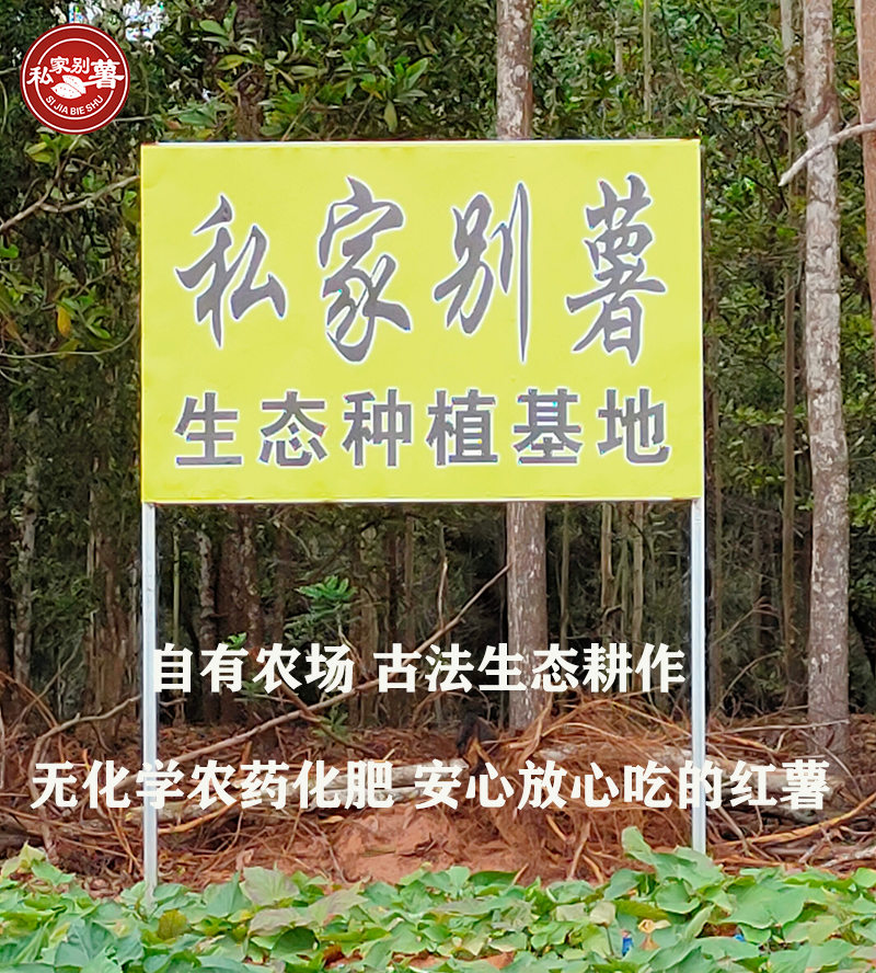 富硒地瓜蒸烂了怎么办