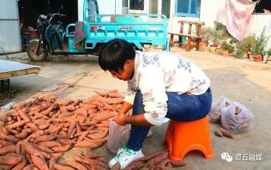 富硒地瓜跟烟薯哪个好