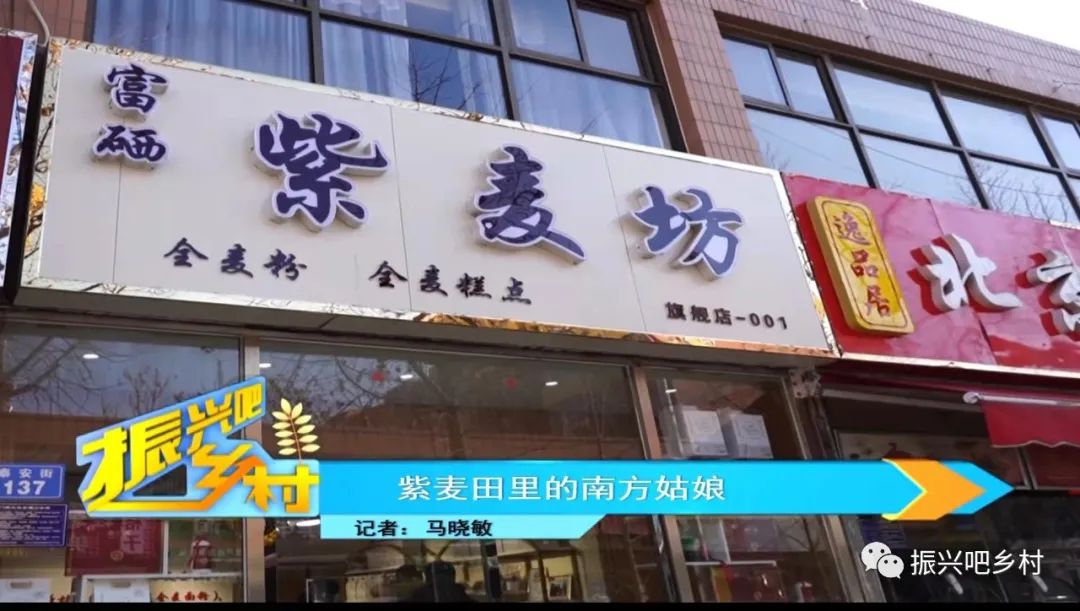 栾城富硒紫麦全麦面粉