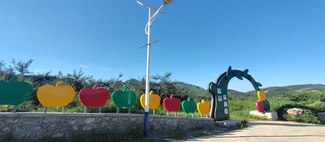 秦皇岛昌黎县富硒面粉