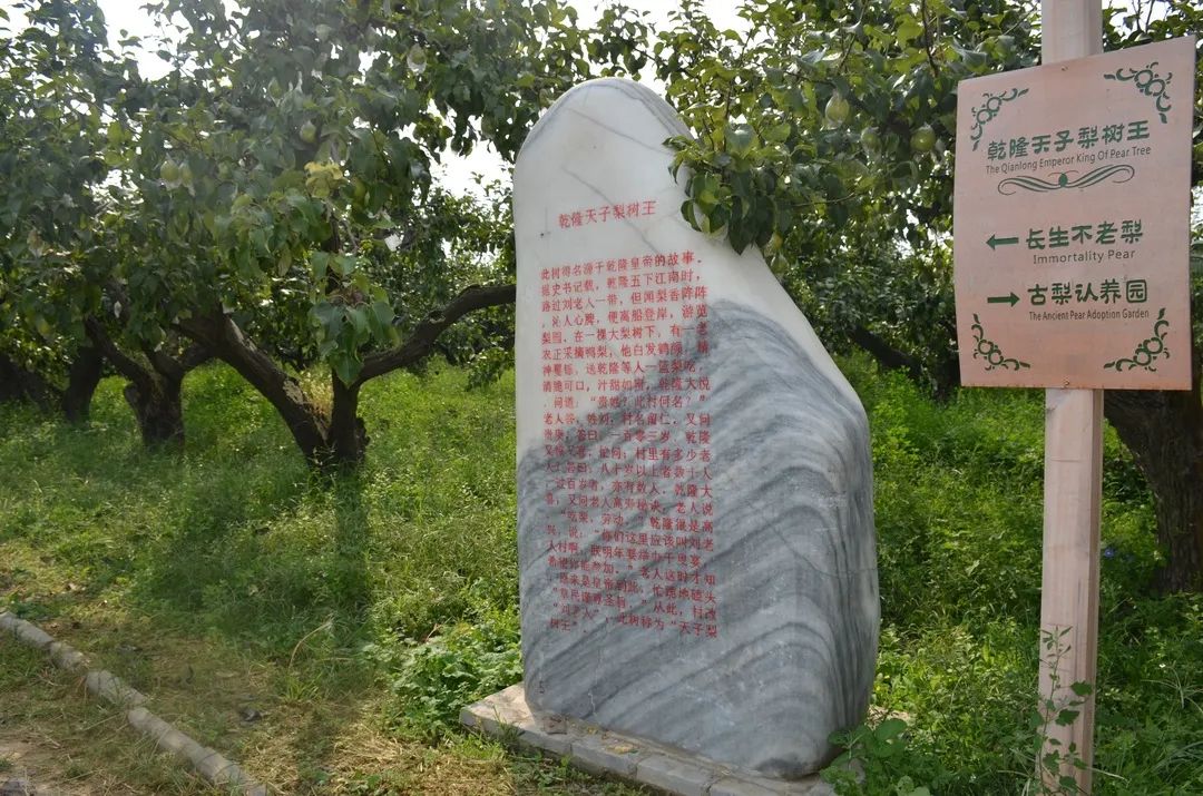 秦皇岛昌黎县富硒面粉