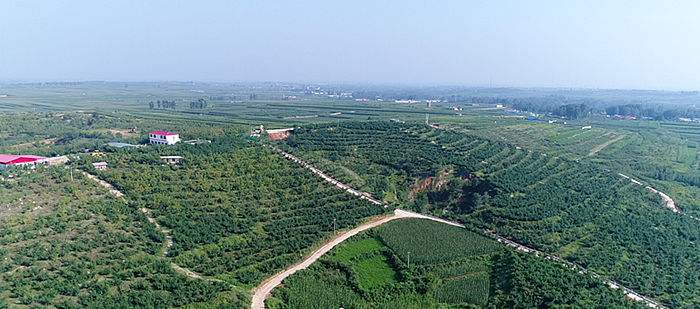 秦皇岛昌黎县富硒面粉