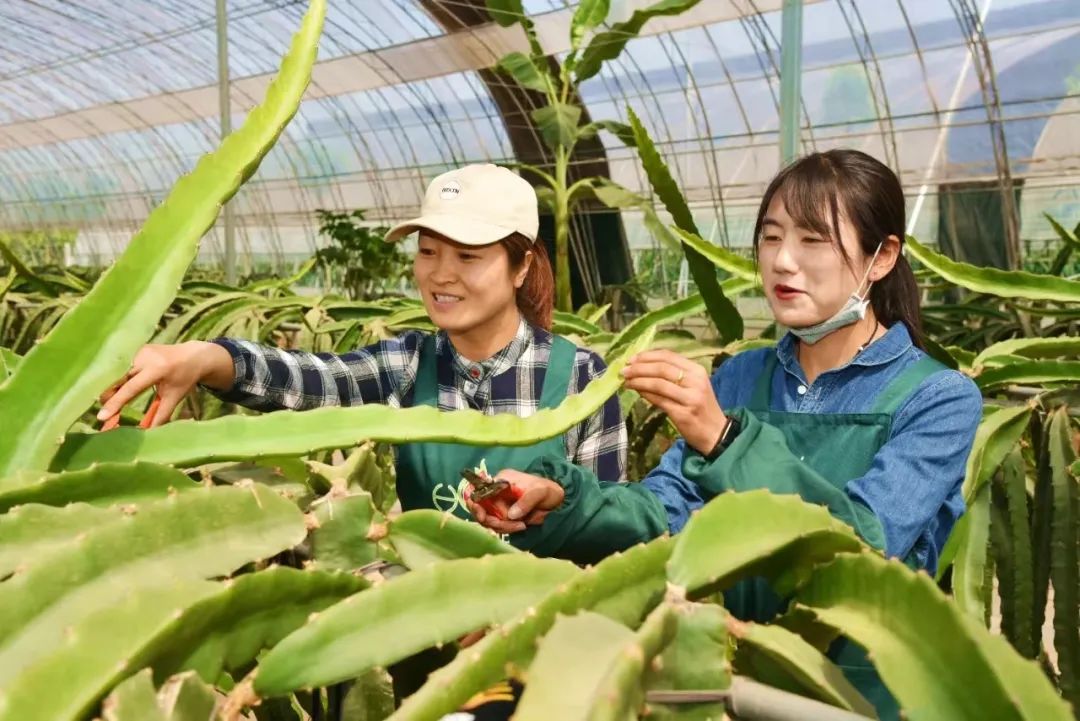 哈萨克斯坦面粉富硒吗