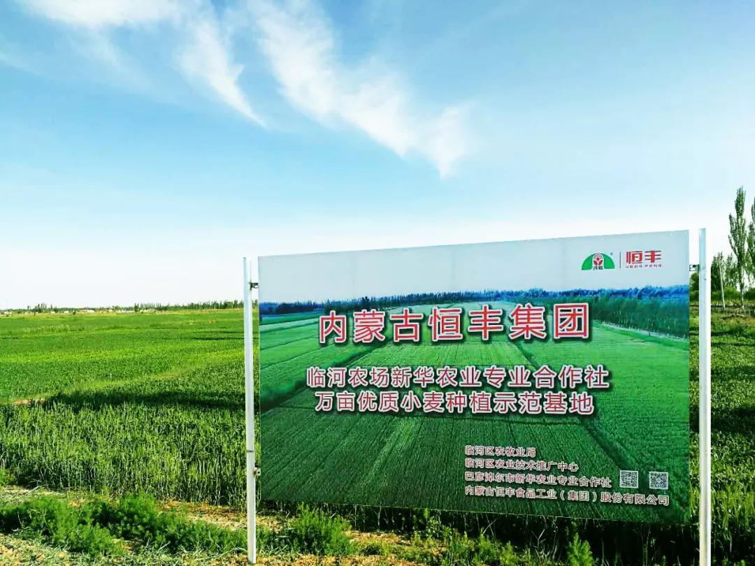 富硒面粉能不能做拉面