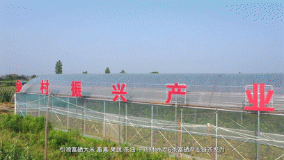江西丰城富硒蔬菜大棚