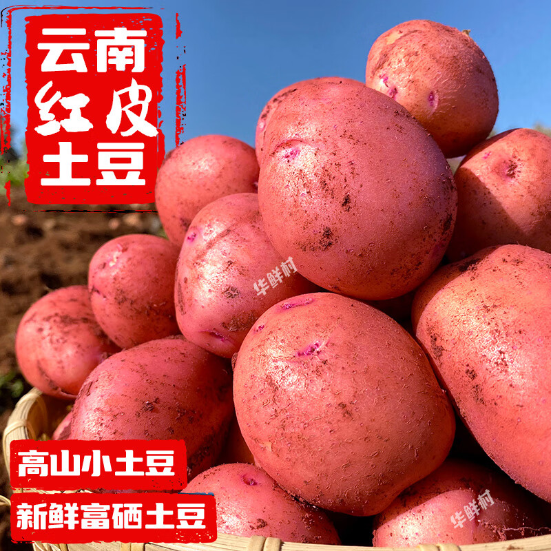 富硒蔬菜经济效益如何