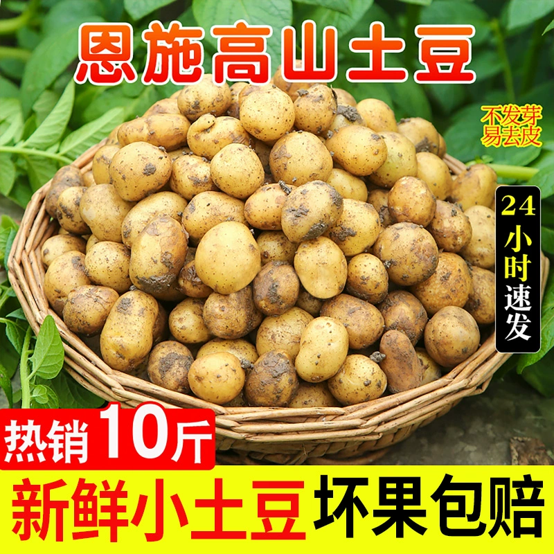 如何打造富硒蔬菜品牌