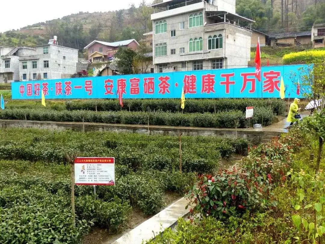 富硒蔬菜生产企业排名