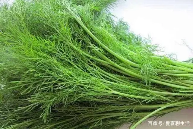 什么菜最补钙