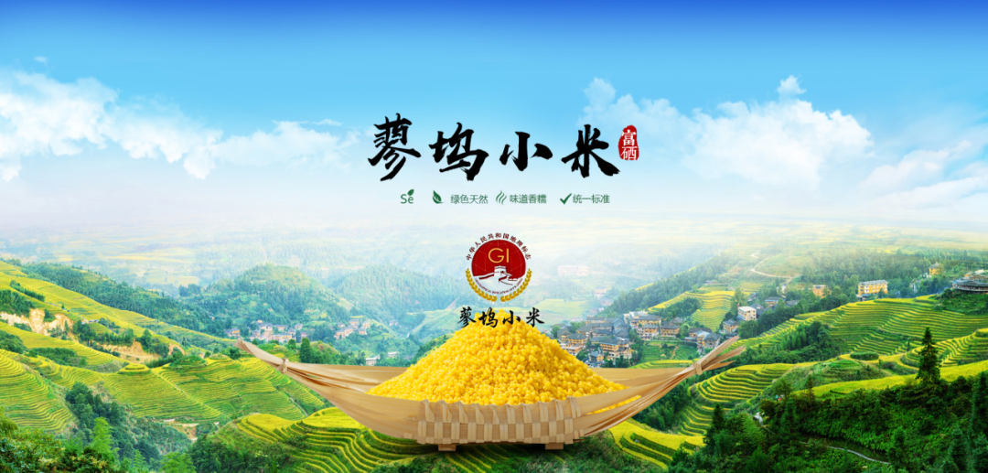 寨里富硒蔬菜种植基地