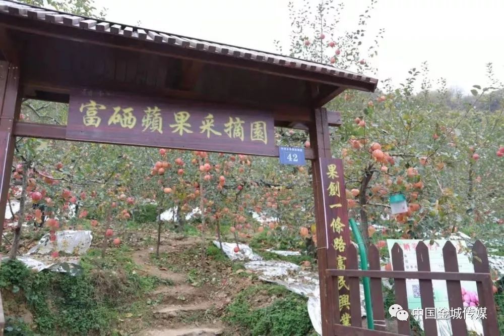 高山富硒蔬菜建设项目