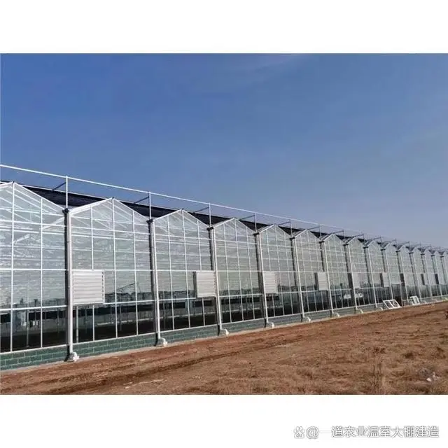 邯郸富硒蔬菜种植基地