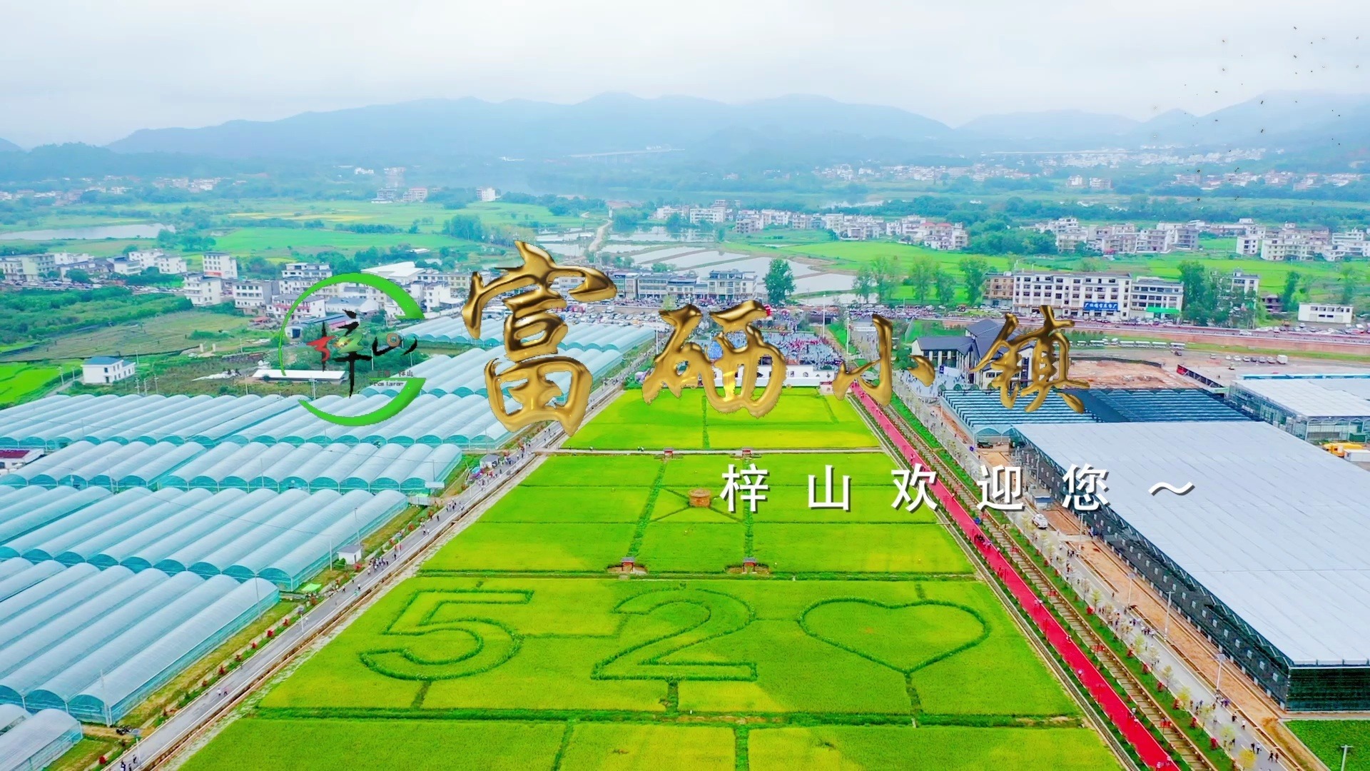 于都梓山万亩富硒蔬菜