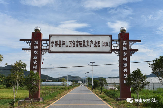 梓山万亩富硒蔬菜基地