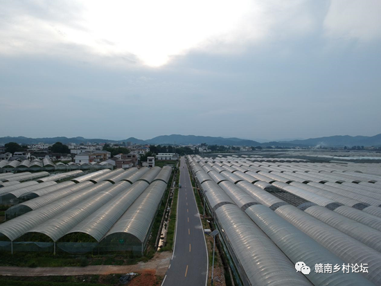 梓山万亩富硒蔬菜基地