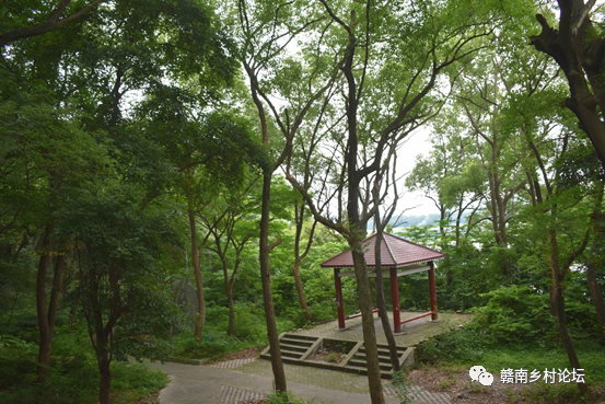 梓山万亩富硒蔬菜基地
