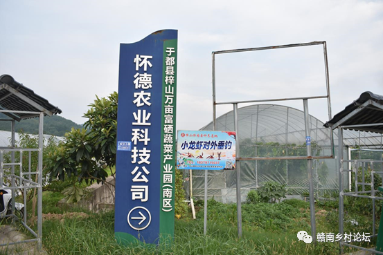 梓山万亩富硒蔬菜基地