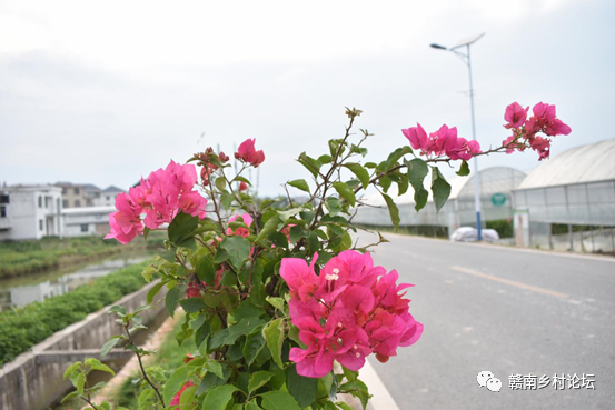 梓山万亩富硒蔬菜基地
