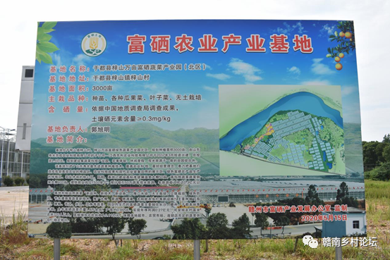 梓山万亩富硒蔬菜基地