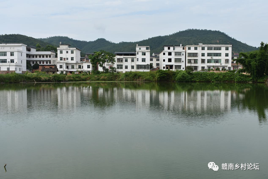 梓山万亩富硒蔬菜基地