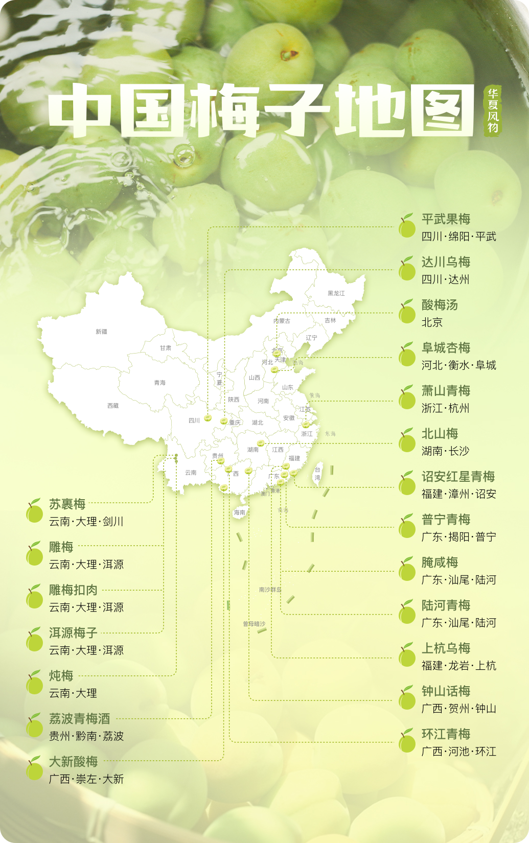 富硒青梅水果长什么样