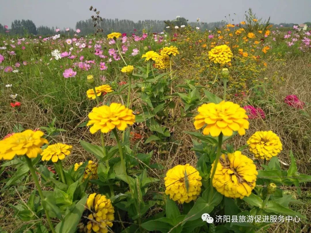 济南富硒水果采摘价格