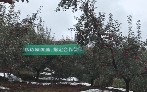 什么水果属于富硒果子