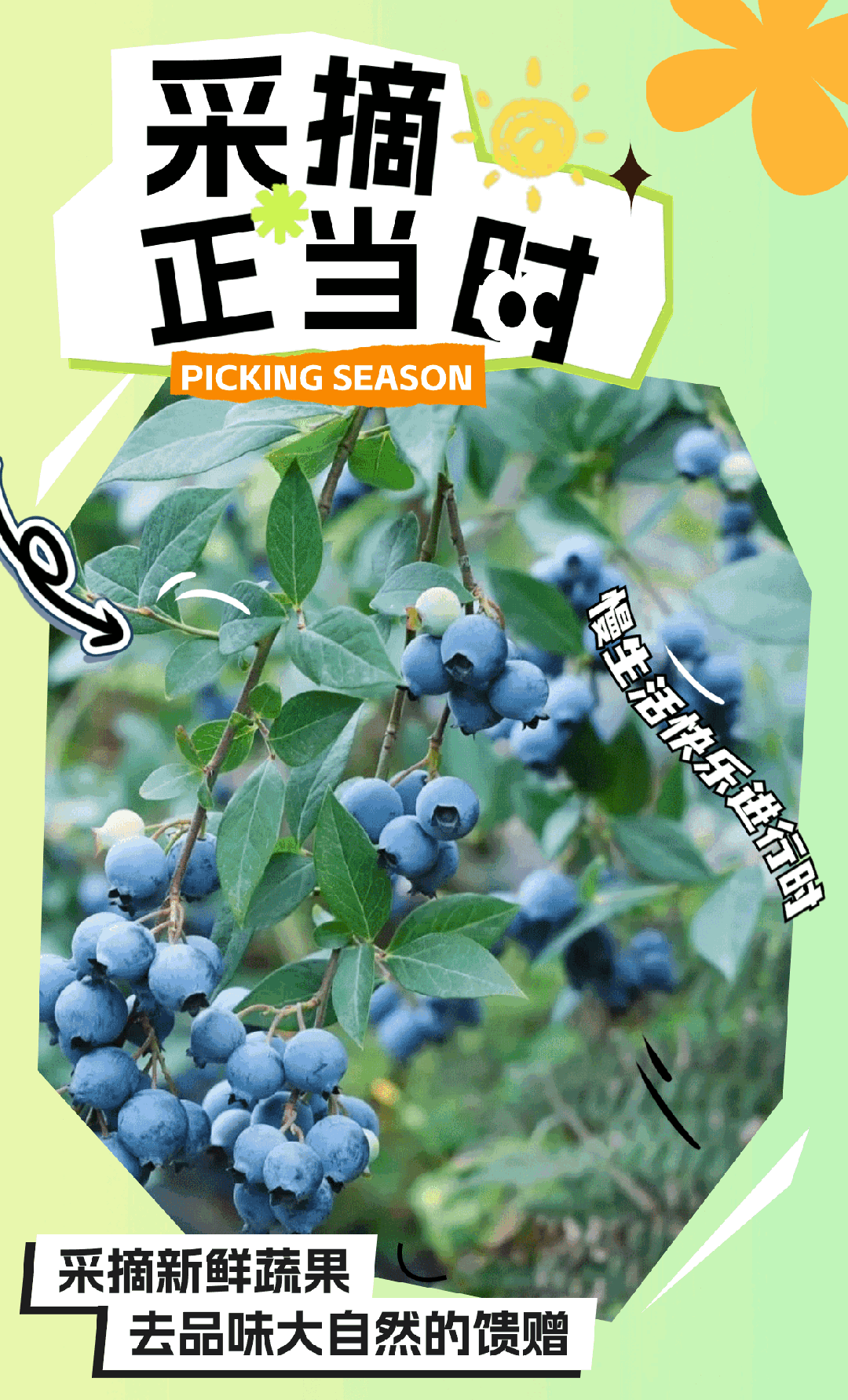 什么水果属于富硒果子