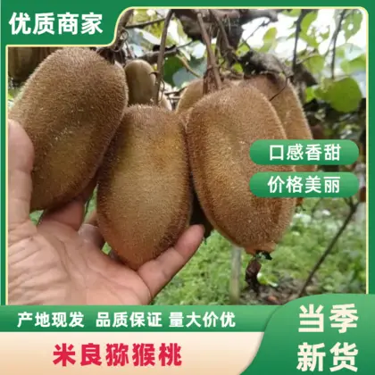 高密翠牌富硒水果萝卜