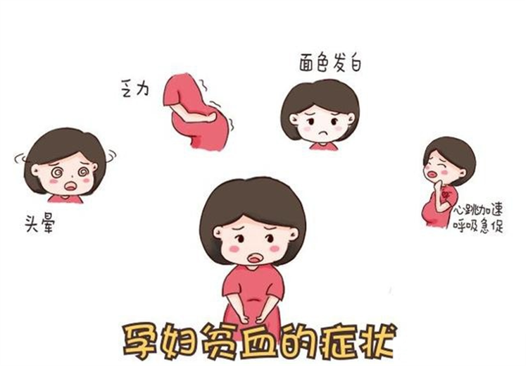 怀孕需要补铁吗