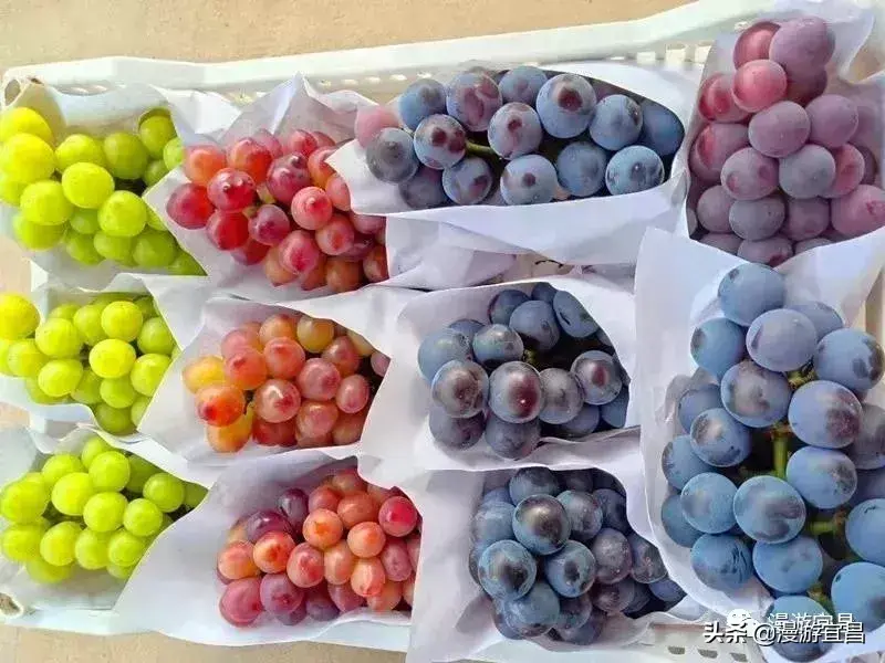 富硒水果采摘自驾攻略