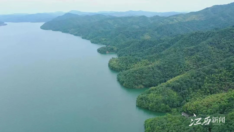 绿色生态富硒水果基地