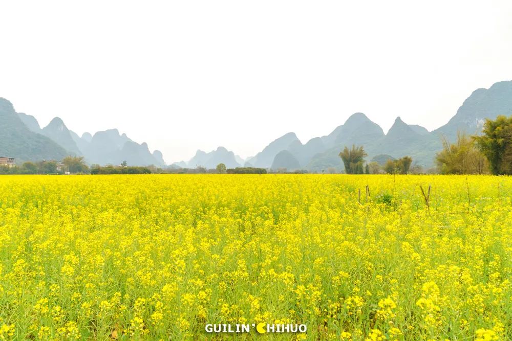 富硒果是什么样的水果